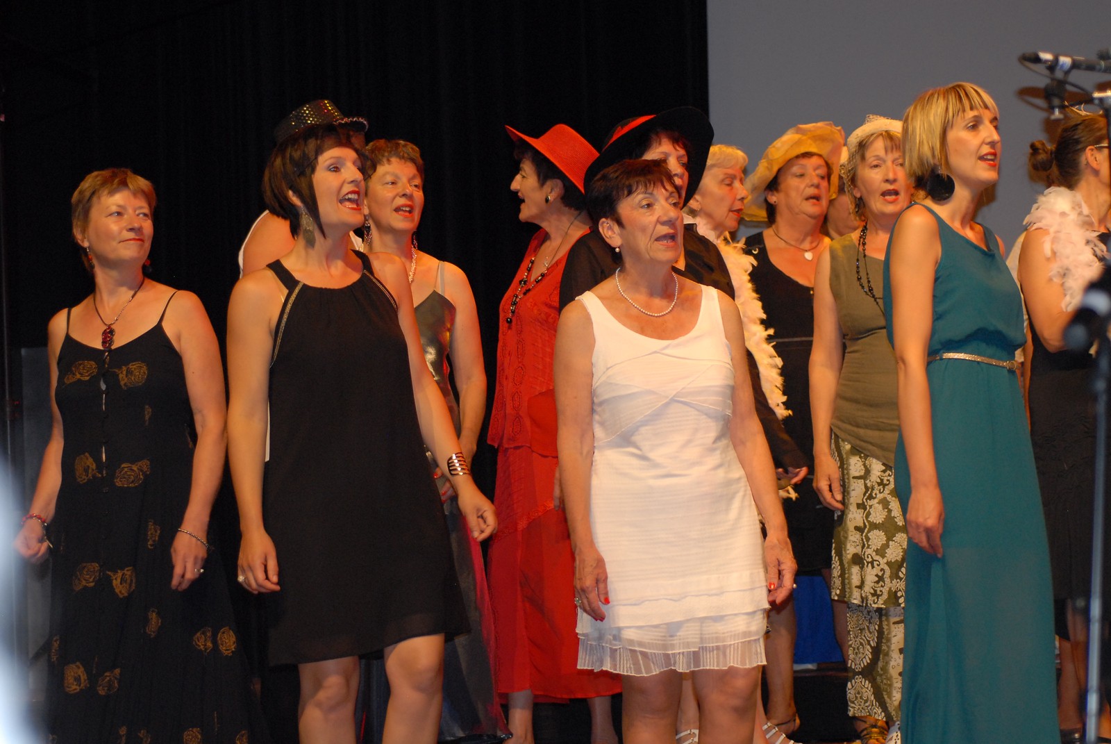 photo du concert 2014 : Vous les Femmes