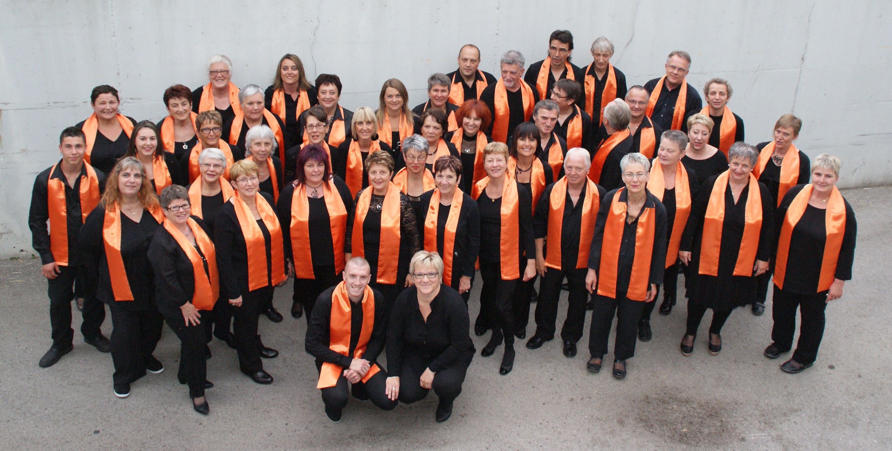 photo de groupe des adultes lors du concert 2015