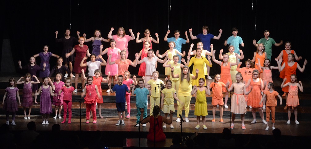 photo des ados et enfants lors du concert 2016