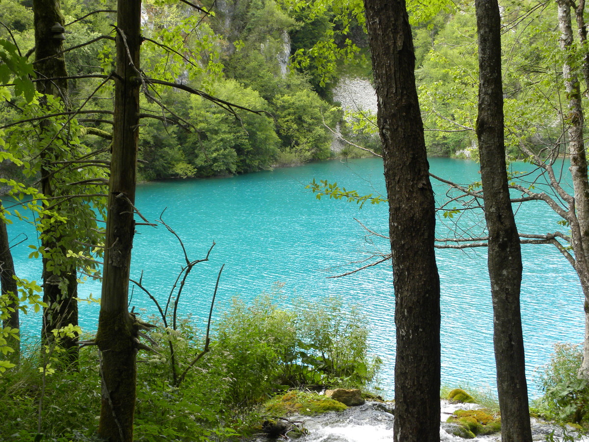 photo prise aux lacs de Plitvice en Croatie