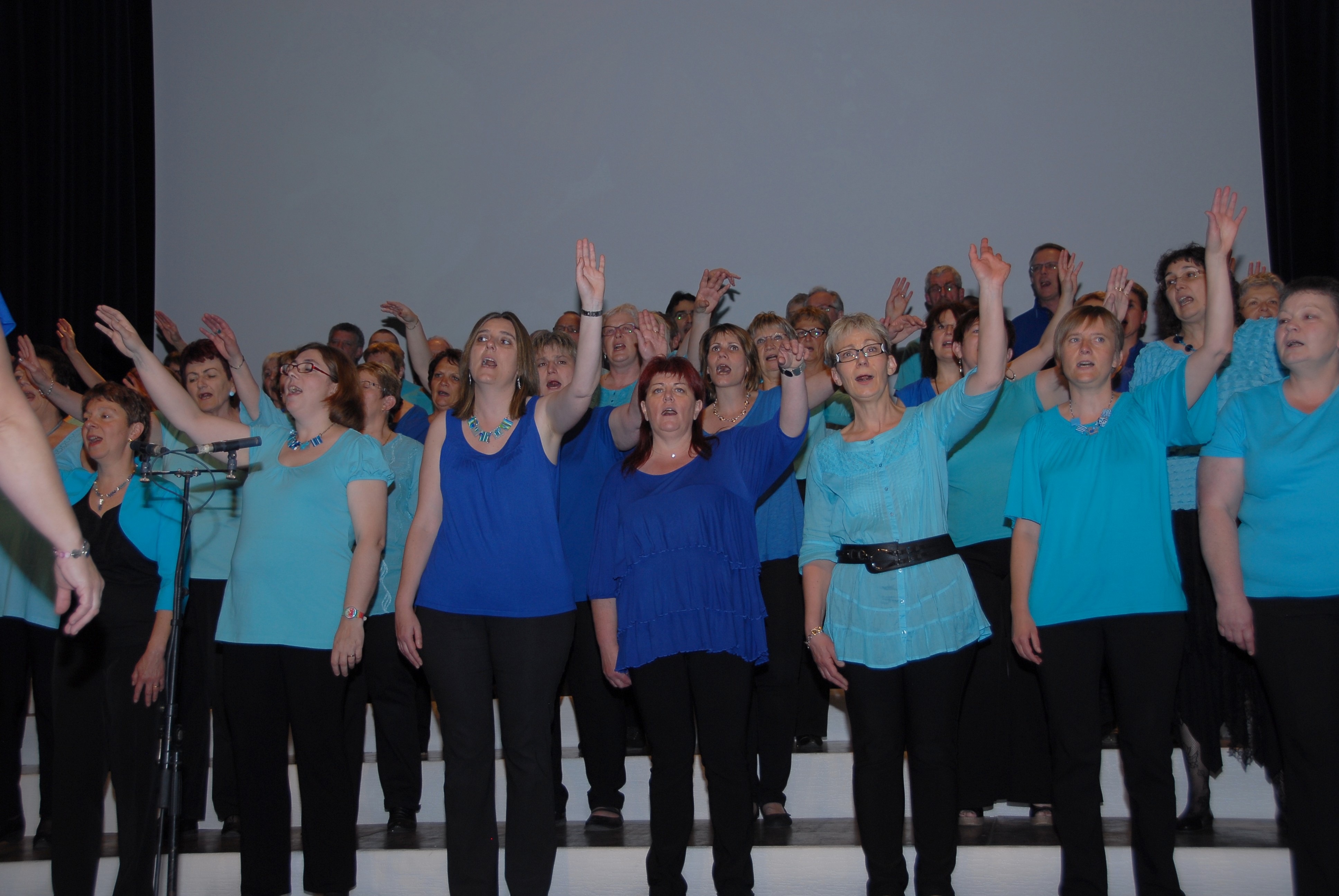 photo du groupe en bleu lors du concert 2013